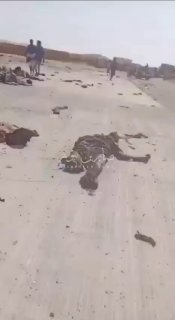 אזהרת צפייה: עשרות גופות של הכוחות הפרו-סעודיים מפוזרות לאחר...