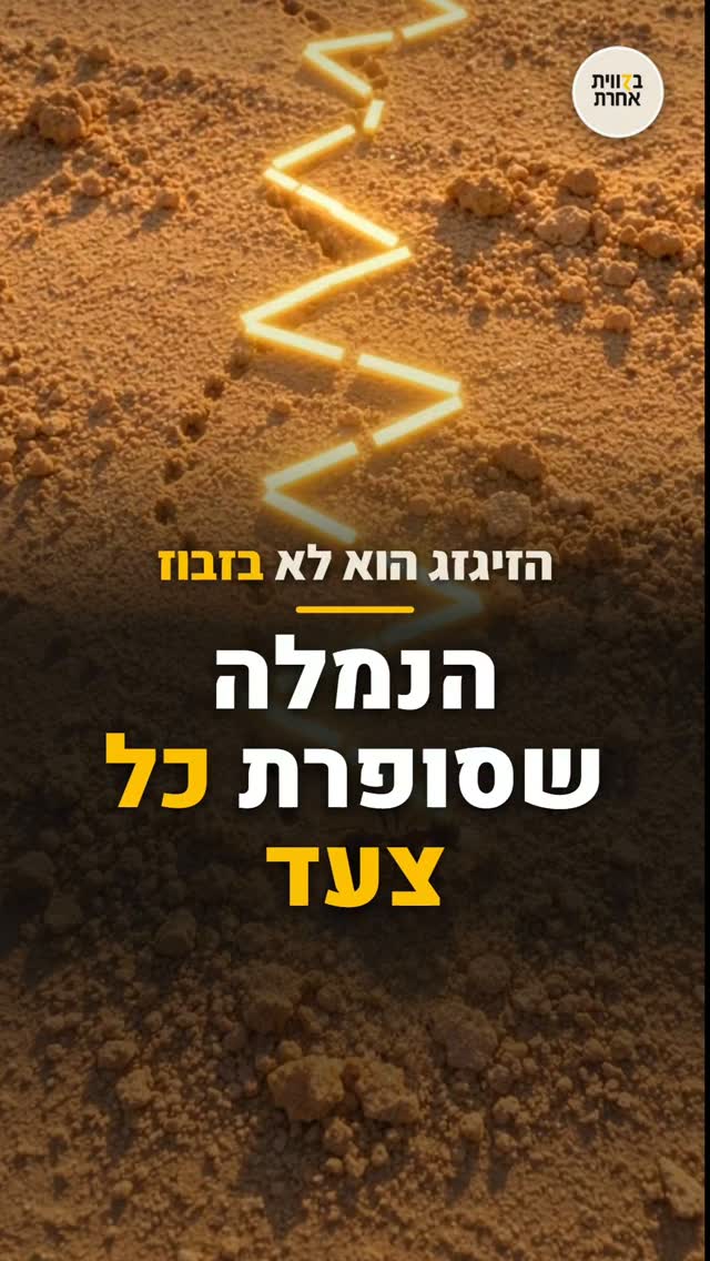 הנמלה שסופרת כל צעד 🐜...
