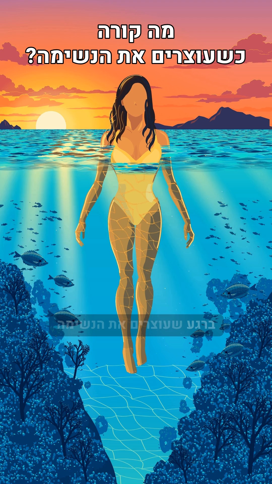 מה קורה לגוף כעוצרים את הנשימה? אנימציה...