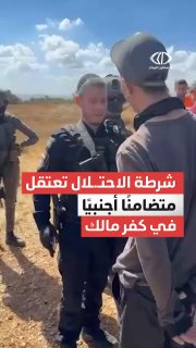 שוב פרובוקציית מסיק באיו"ש הבוקר: אנרכיסטים ישראלים...