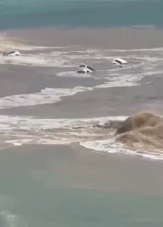 זרמים אדירים במקסיקו סוחפים מכוניות אל הים...