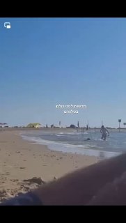 המשטרה עצרה חשוד שהשליך גורי כלבים לים בחיפה...